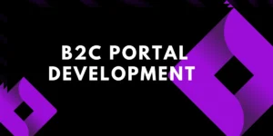 B2C PORTAL DEVELOPMENT - Feature image