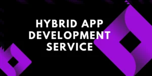 hybrid APP DEVELOPMENT service- Feature image