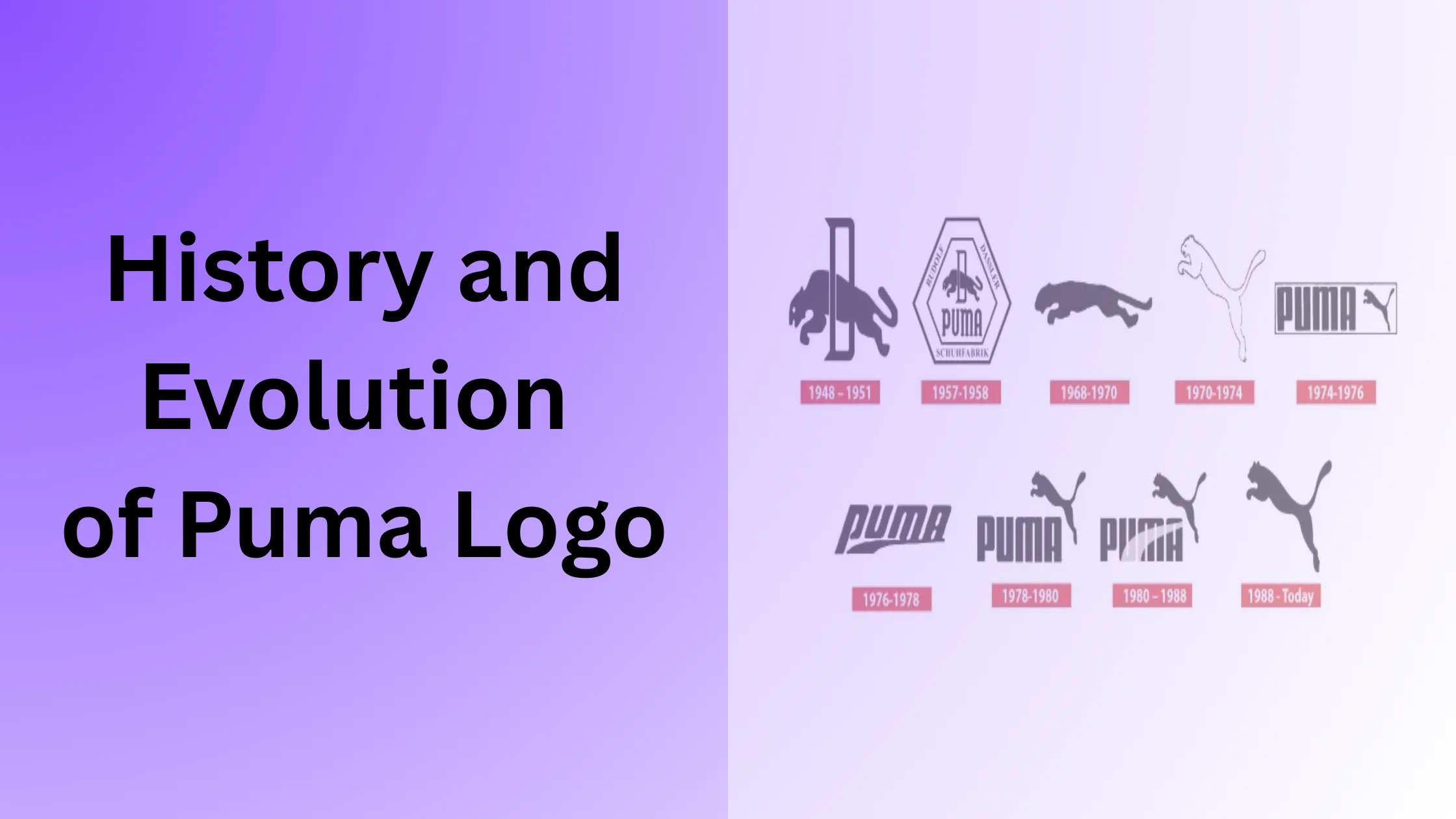 History and Evolution of Puma Logo